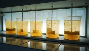 polymeric coagulants