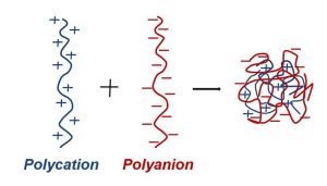 using cationic and anionic polyelectrolytes in water and wastewater treatment